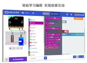 micro bit初學(xué)者都在學(xué)習(xí)的入門級(jí)應(yīng)用案例